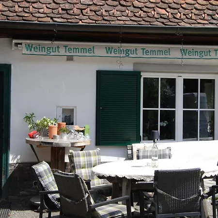 펜션 Weinberg-panoramaferienhaus
