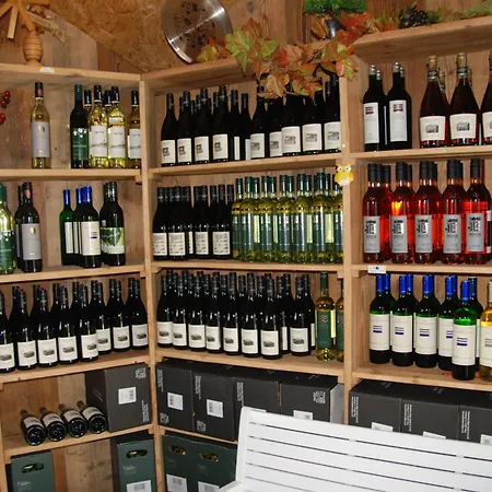 بيت للعطل Weinberg-panoramaferienhaus كيتسك إيم زاوزال