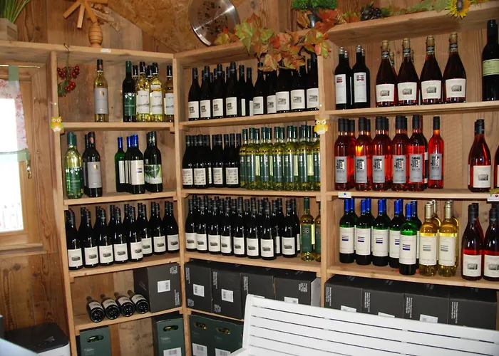 度假居 Weinberg-panoramaferienhaus 绍萨尔地区基策克